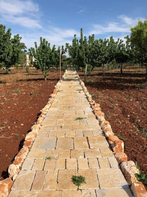 Villa Monn Ulivo Monopoli Esterno foto